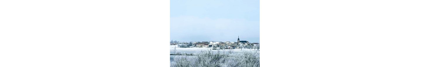 Domjevin 3
